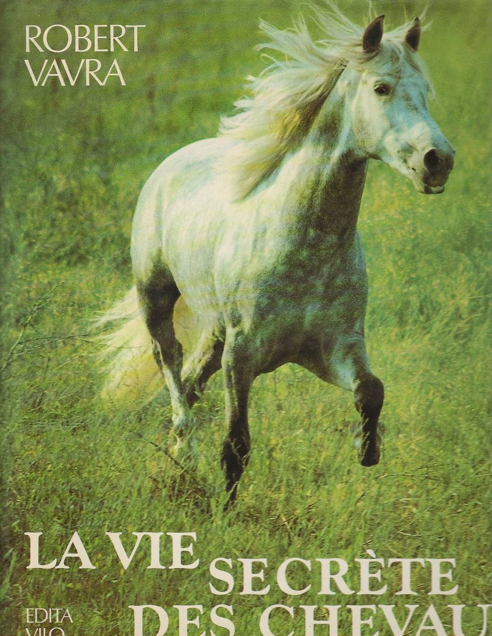 La vie secrète des chevaux