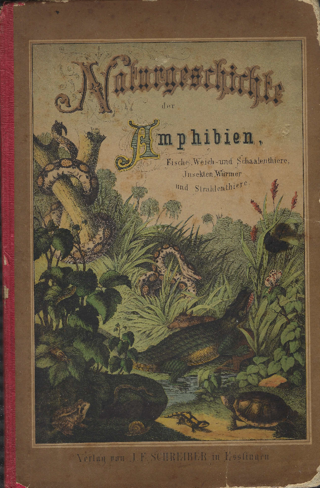 Naturgeschichte Der Amphibien, Fische, Weich - Und- Schalenthiere, Insekten, Würmer …