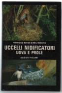 Uccelli Nidificatori, Uova E Prole