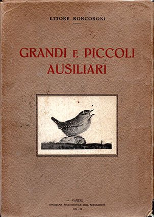 Grandi e piccoli ausiliari