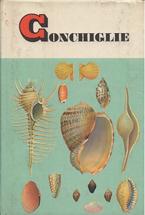 Conchiglie