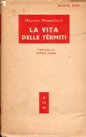 La vita delle termiti