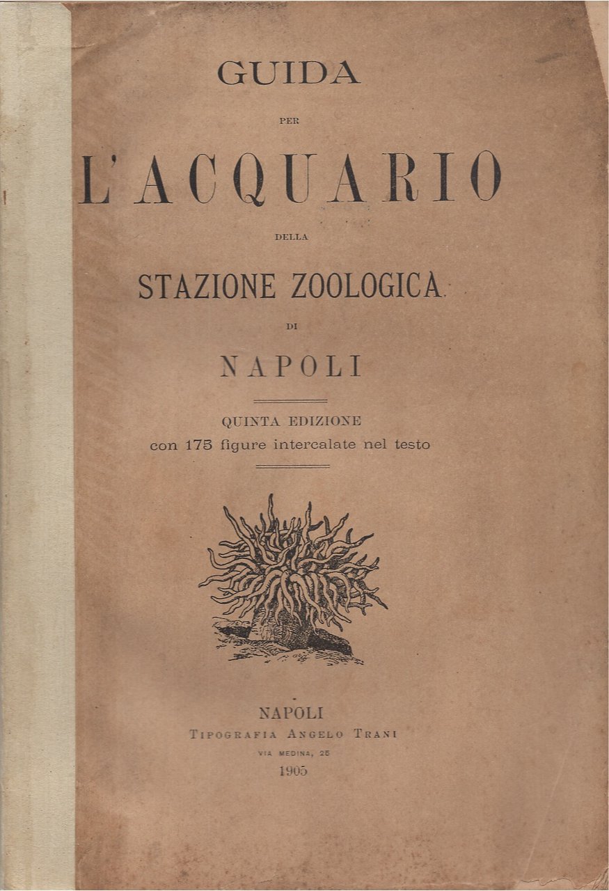 Guida per l'acquarioi della Stazione Zoologica di Napoli