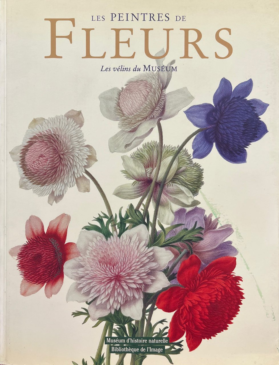 Les peintres de fleurs - Les vélins du Muséum