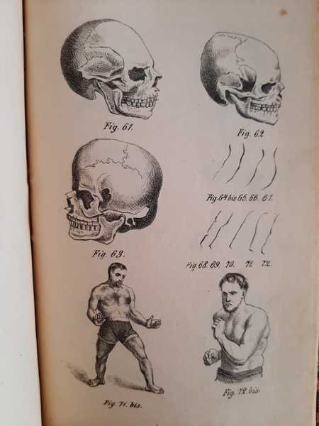 Fisognomonia e frenologia rese intellegibili a tutti. Esposizione del senso …