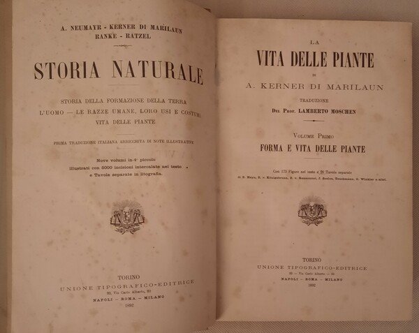 La vita delle piante. Traduzione di Lamberto Moschen