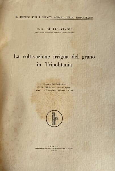 La coltivazione irrigua del grano in Tripolitania