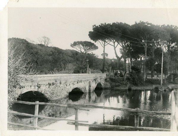 Ostia, riserva di Castel Porziano