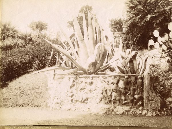 Roma, Villa Doria Panfili