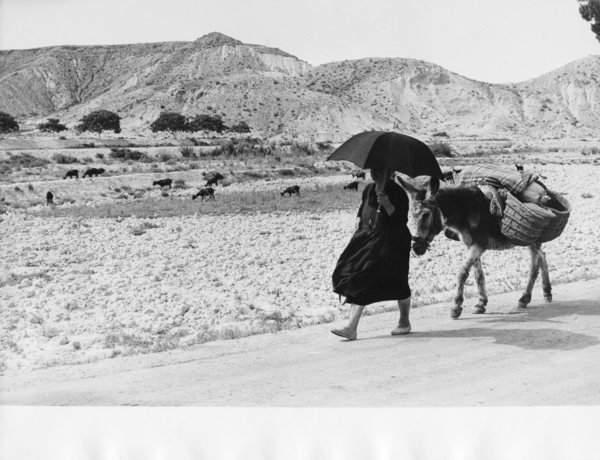 Almeria, le strade attraversano immense regioni desertiche