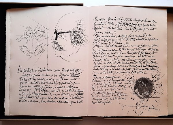 Métamorphoses. OVIDE auteur des ces épisodes des Métamorphoses traduits par …