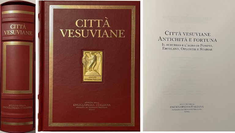 Città vesuviane