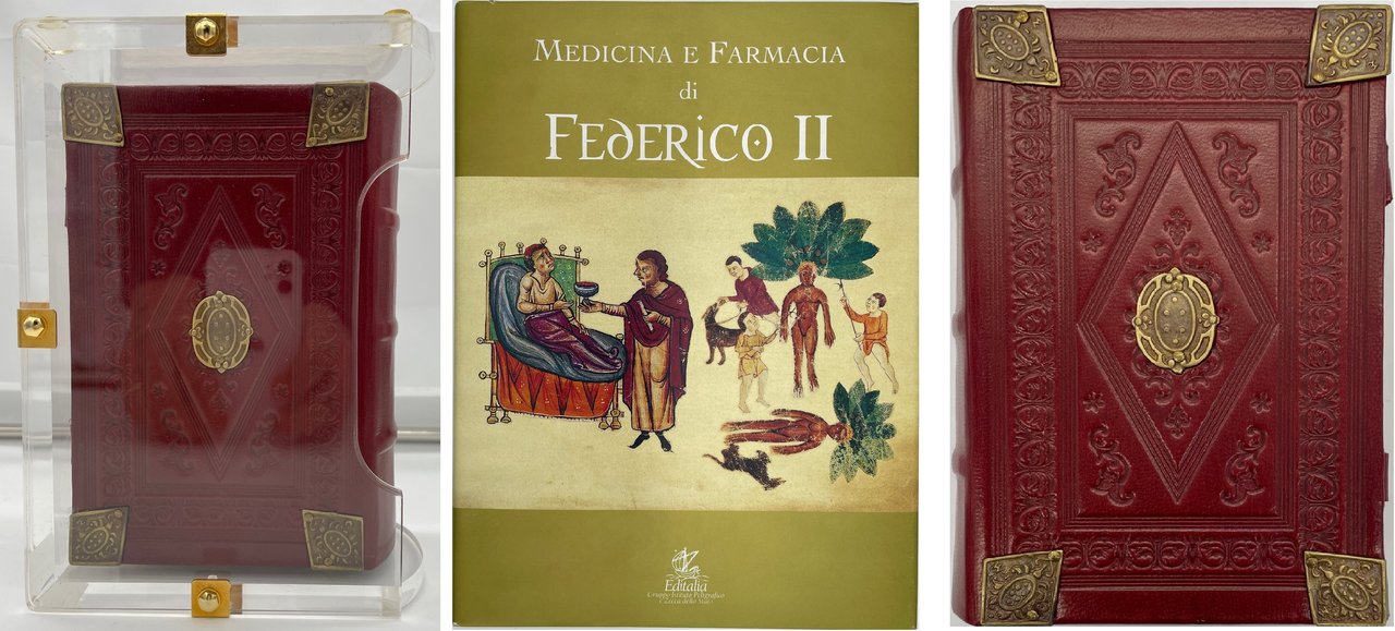 Codice di medicina e farmacia di Federico II (Codex of …