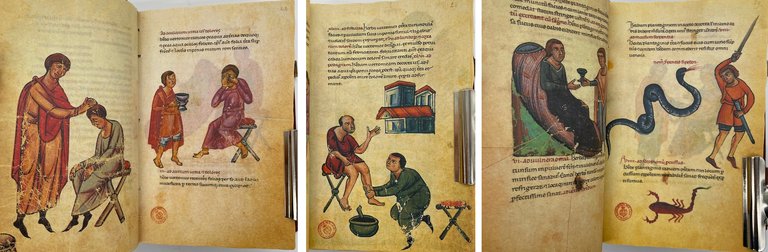 Codice di medicina e farmacia di Federico II (Codex of …