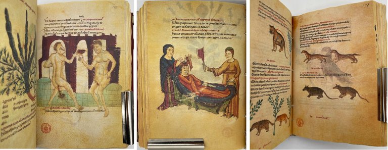 Codice di medicina e farmacia di Federico II (Codex of …