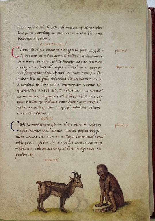 Das Tierbuch des Petrus Candidus (Il libro degli animali. Bestiario …