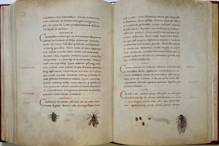 Das Tierbuch des Petrus Candidus (Il libro degli animali. Bestiario …