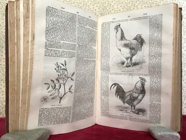 DICTIONNAIRE GENERAL DES SCIENCES THEORIQUES ET APPLIQUEES comprenant. les matematiques. …