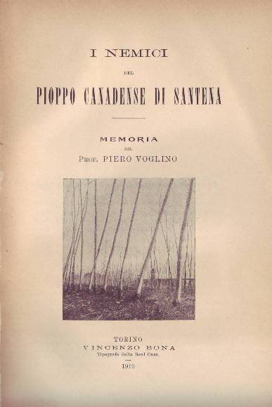I NEMICI DEL PIOPPO CANADESE DI SANTENA.- Memoria del Prof. …