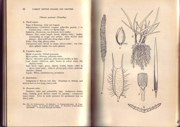 COMMON BRITISH GRASSES AND LEGUMES. With 50 illustrations