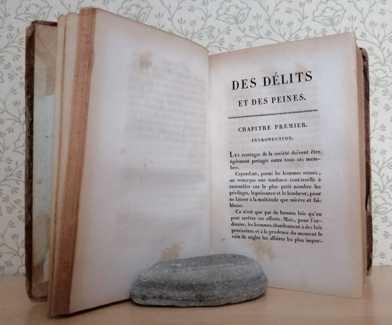 DES DELITS ET DES PEINES