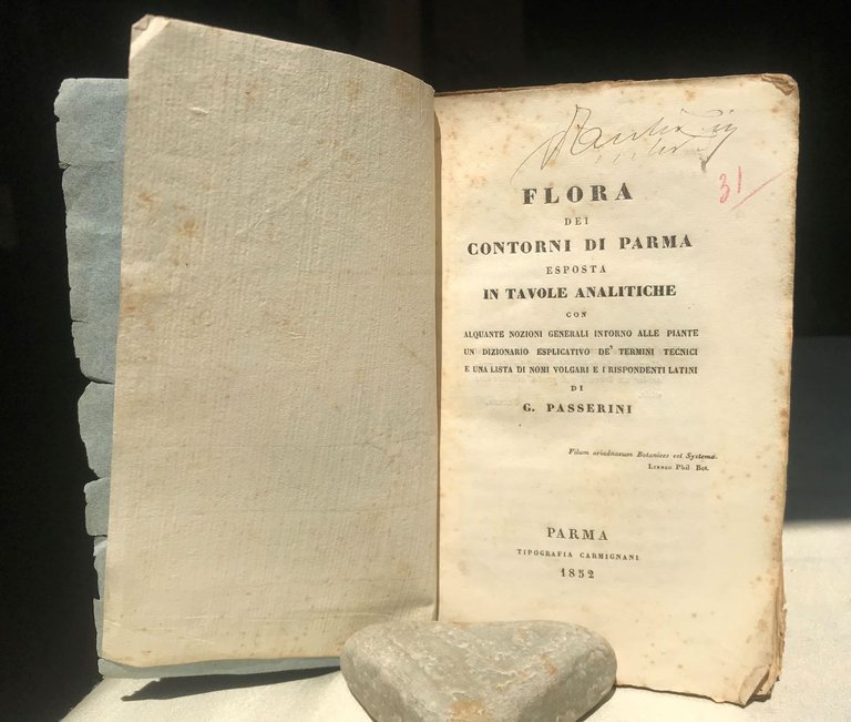 FLORA DEI CONTORNI DI PARMA ESPOSTA IN TAVOLE ANALITICHE CON …