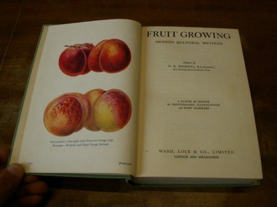 FRUIT GROWING Modern cultural methods