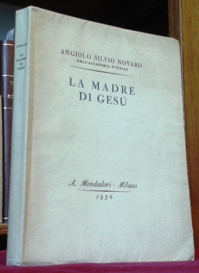 LA MADRE DI GESU'.