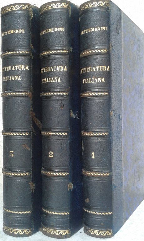 LEZIONI DI LETTERATURA ITALIANA DETTATE NELL'UNIVERSITA DI NAPOLI