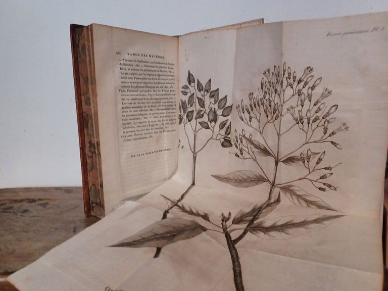 TRAITE' DES FIEVRES PERNICIEUSES INTERMITTENTES | Immagine Gallery 4