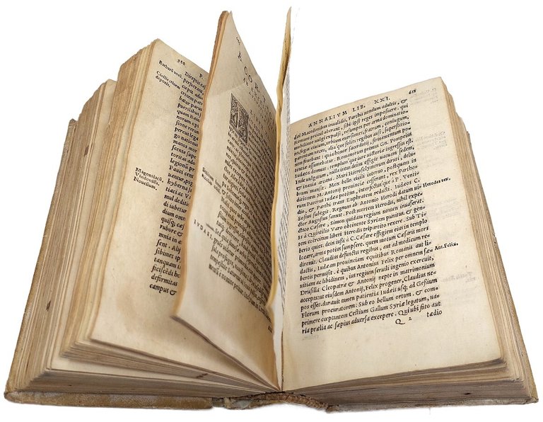 Ab excessu Augusti Annalium libri sedecim. Ex castigatione Aemylij Ferretti, … | Immagine Gallery 4