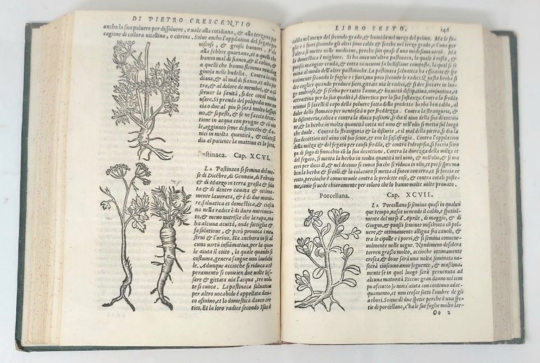 (Agricoltura volgare) Pietro Crescenzio Bolognese tradotto nuovamente per Francesco Sansovino. …