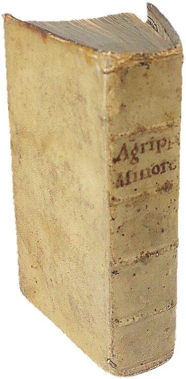 Agrippina minore, e mutatione dell'Imperio de' primieri Cesari. | Immagine Gallery 3