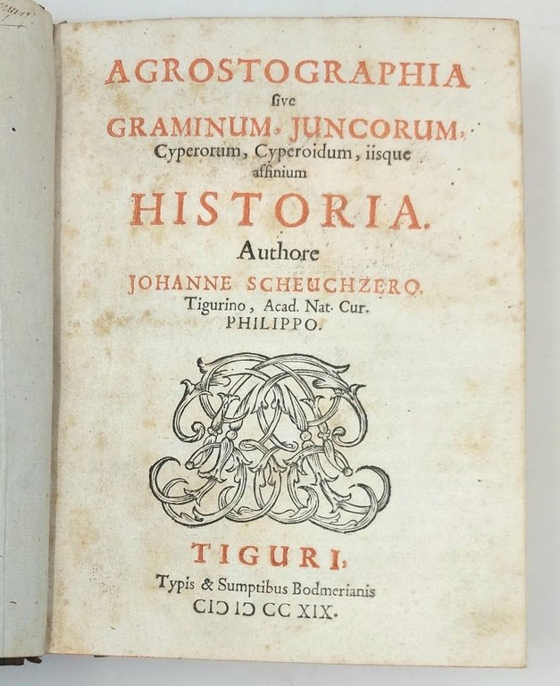 Agrostographia sive graminum, juncorum, cyperorum, cyperoidum, iisque affinium historia.