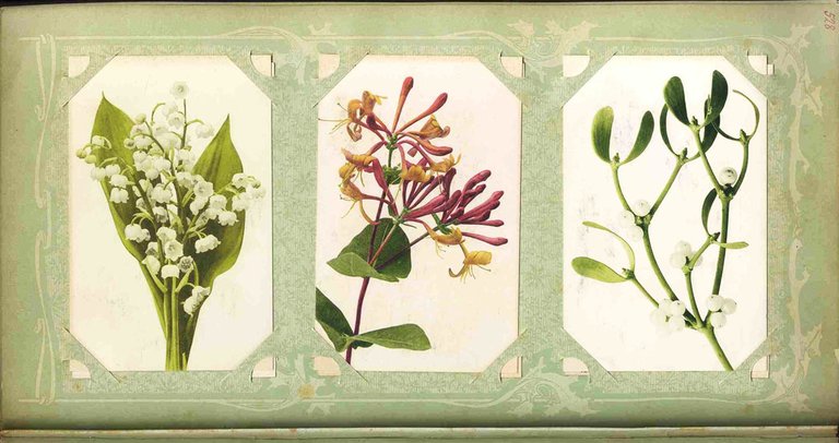 Album di cartoline, fine Ottocento – inizio Novecento.