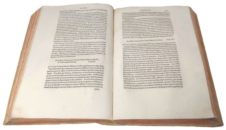 &amp;nbsp;Lucensis civitatis statuta nuperrime castigata, et quam accuratissime impressa...