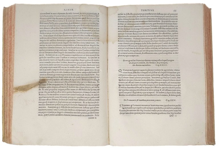 &amp;nbsp;Lucensis civitatis statuta nuperrime castigata, et quam accuratissime impressa...