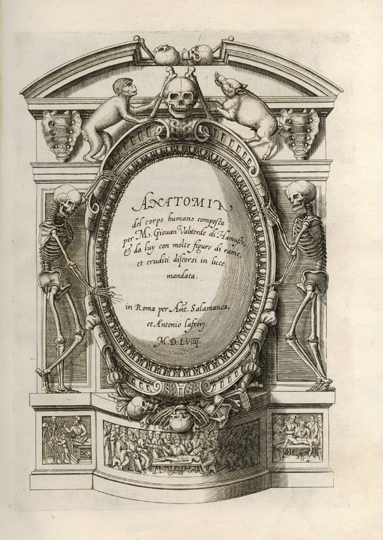 Anatomia del Corpo Humano...da lui con molte figure di rame, … | Immagine Gallery 1