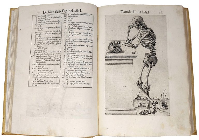 Anatomia del Corpo Humano...da lui con molte figure di rame, …