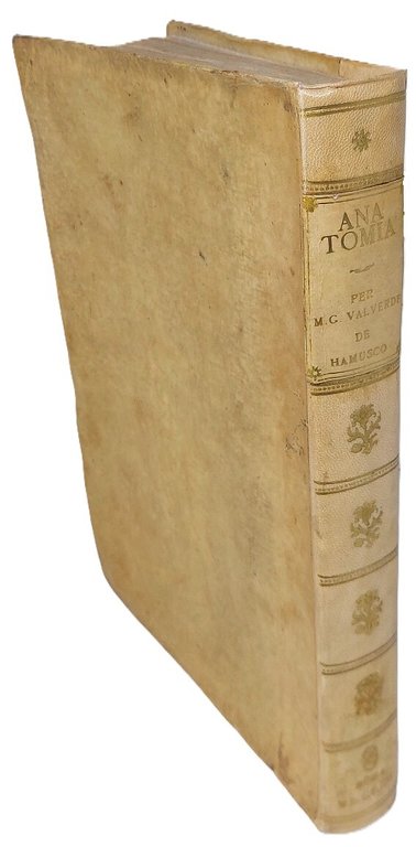 Anatomia del Corpo Humano...da lui con molte figure di rame, …