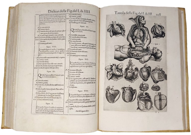 Anatomia del Corpo Humano...da lui con molte figure di rame, …