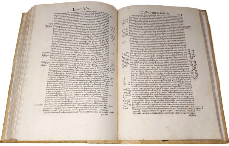 Anatomia del Corpo Humano...da lui con molte figure di rame, …