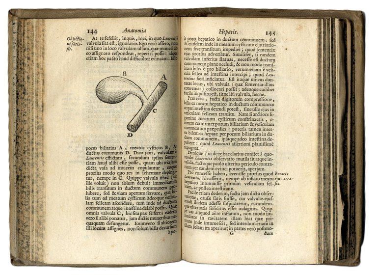 Anatomia Hepatis. Cui praemittuntur quaedam ad rem Anatomicam universae spectantia. … | Immagine Gallery 3