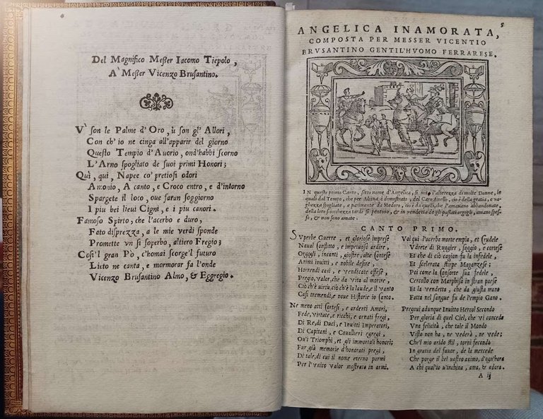 Angelica Innamorata.