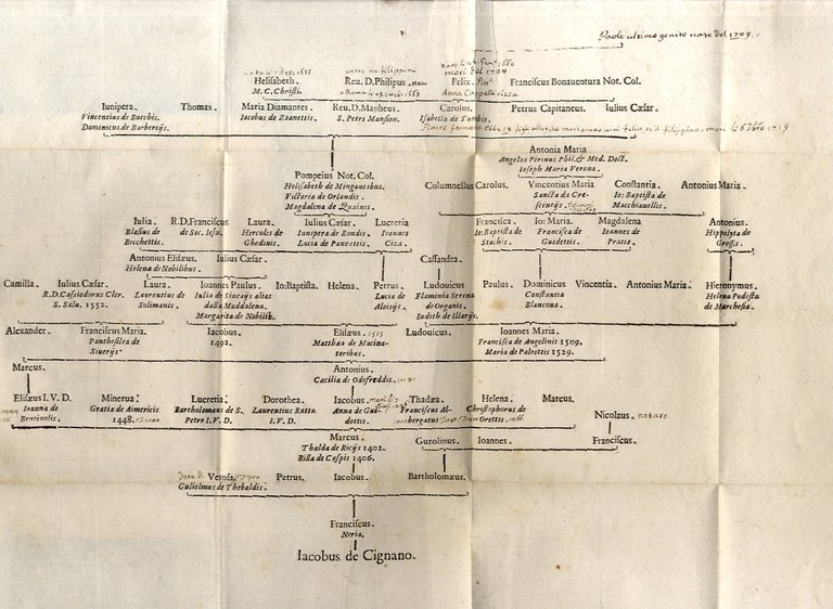 Arbor Genealogica Gentis de Cignano, Quam merito, ac virtuti D. …