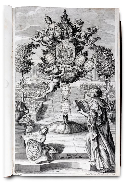 Ariadne Carolino-Canonica, seu doctrina theorico-pratica SS . Canonum, Rev. ac …