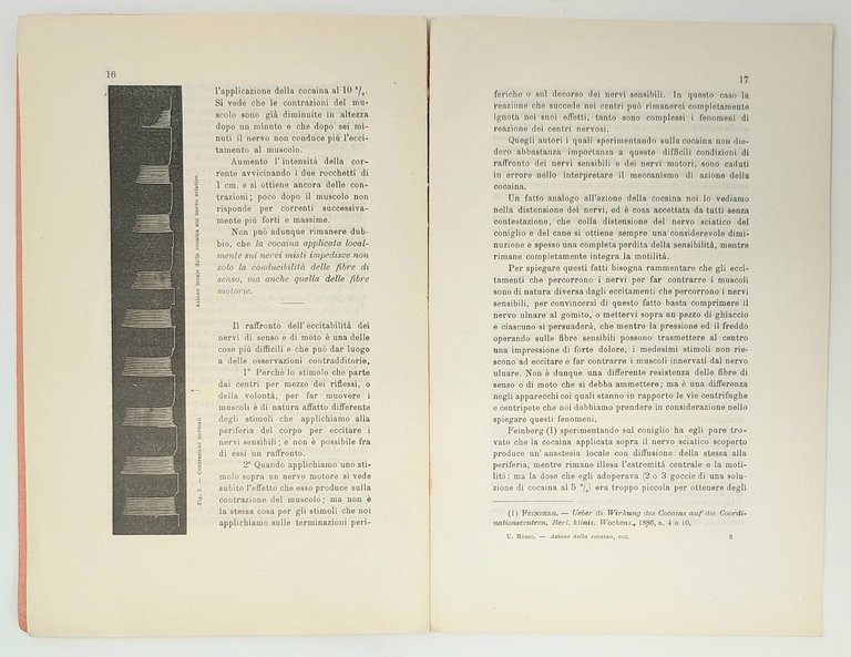Azione della cocaina sull'uomo e sulle varie classi di vertebrati …