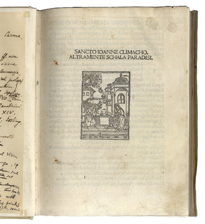 Climacho altramente Schala Paradisi. | Immagine Gallery 2