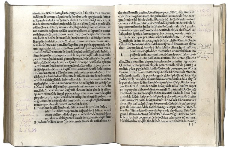 Climacho altramente Schala Paradisi. | Immagine Gallery 7