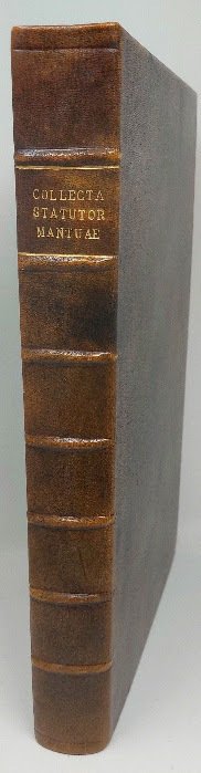 Collectanea Statutorum, et Ordinamentorum Communis Mantuae extracta ex decem Libris …